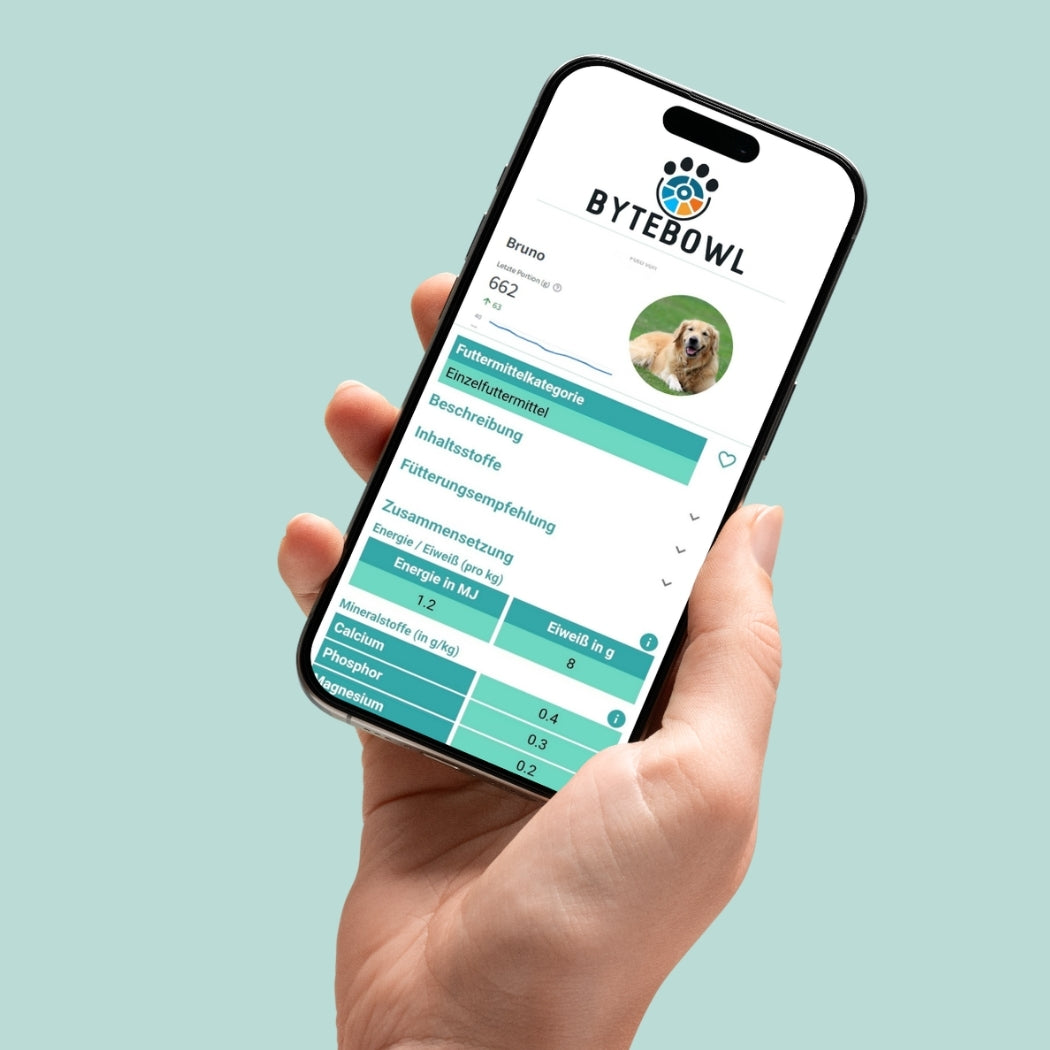 ByteBowl App Kostenlos testen