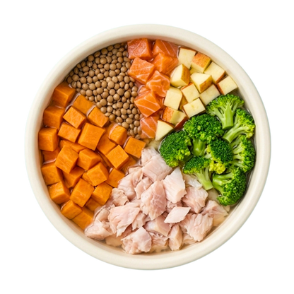 BARF Lachs Süsskartoffel