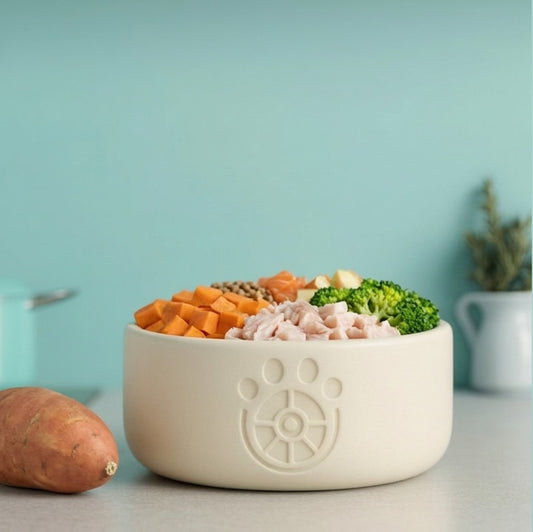 Futterplan Lachs Süsskartoffel