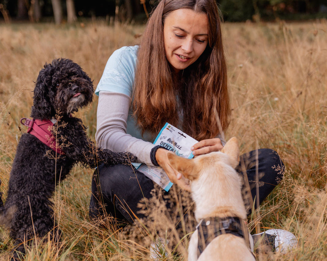 Jamina_Zaugg_Beratung_Petfood