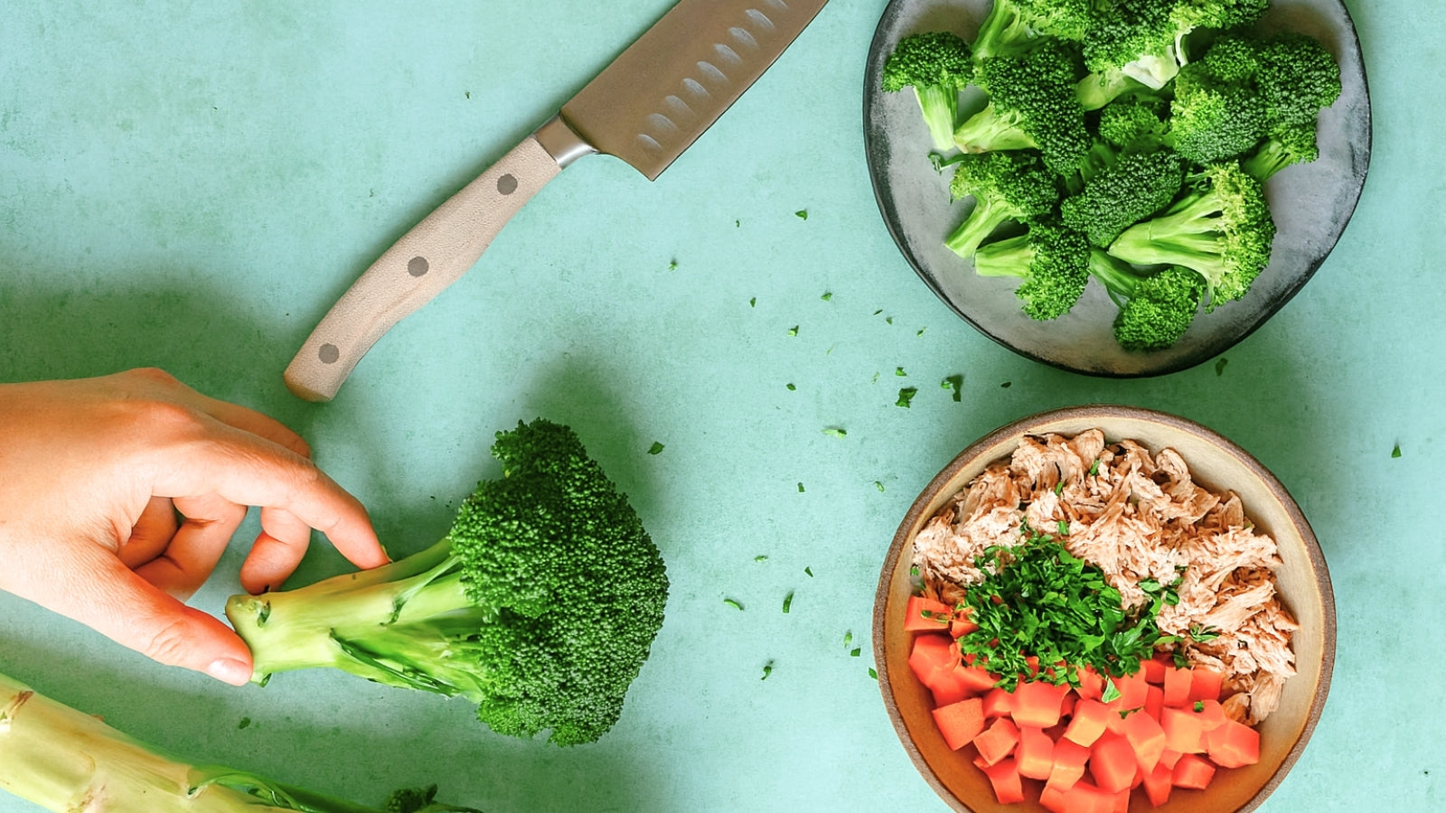 Rezepturen_selber_kochen_fuer_Hunde_und_Katzen